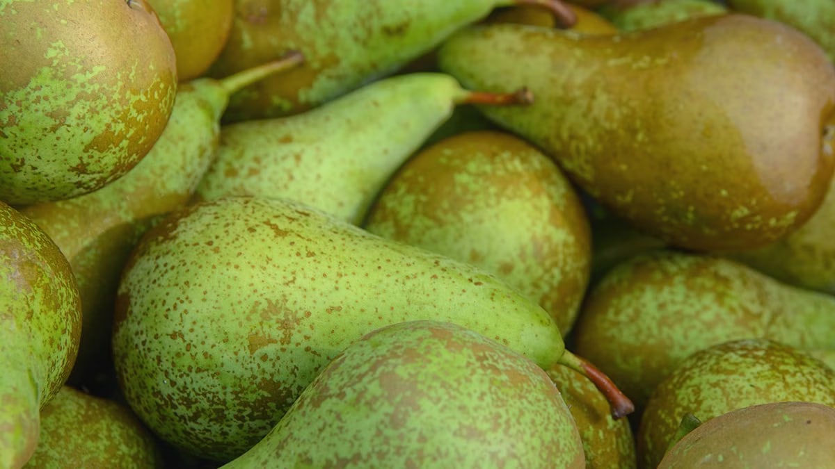 A vibrant close-up image of fresh, ripe green pears piled together.